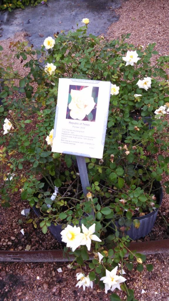  photo IMG_20140924_102208_709.jpg